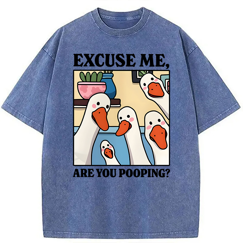 Modecanvas Are You Pooping Goose Meme DTG Printing Washed T-Shirt-modecanvas