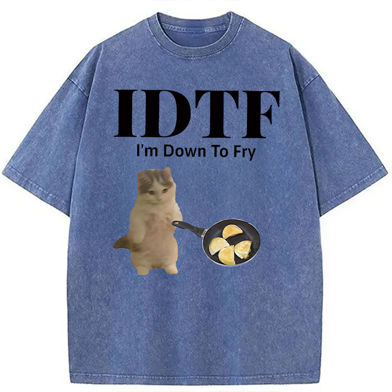 Modecanvas IDTF Pierogi DTG Printing Washed T-Shirt-modecanvas