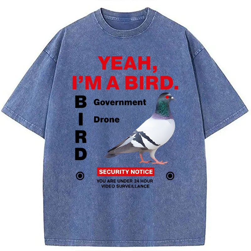 Modecanvas Government Funny Pigeon Puns DTG Printing Washed T-Shirt-modecanvas