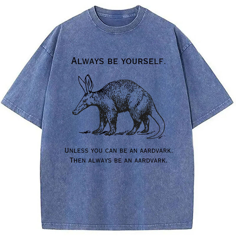 Modecanvas Always Be Yourself Meme DTG Printing Washed T-Shirt-modecanvas