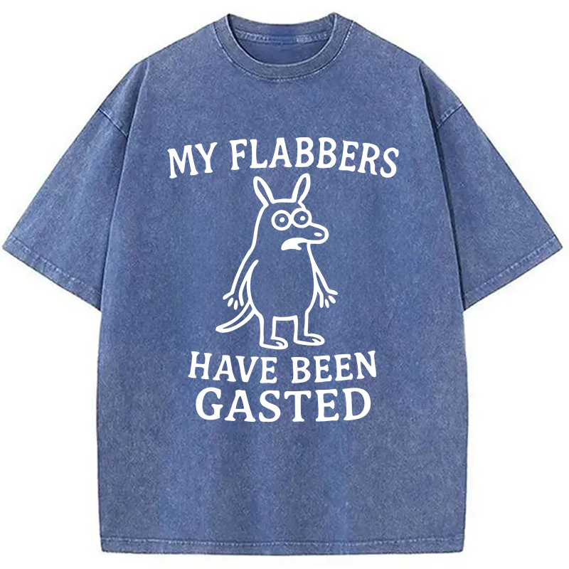 Modecanvas My Flabbers Have Been Gasted Funny Meme DTG Printing Washed T-Shirt-modecanvas