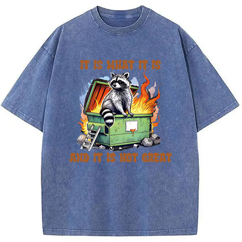 Modecanvas It is What Not Great Raccoon Meme DTG Printing Washed T-Shirt