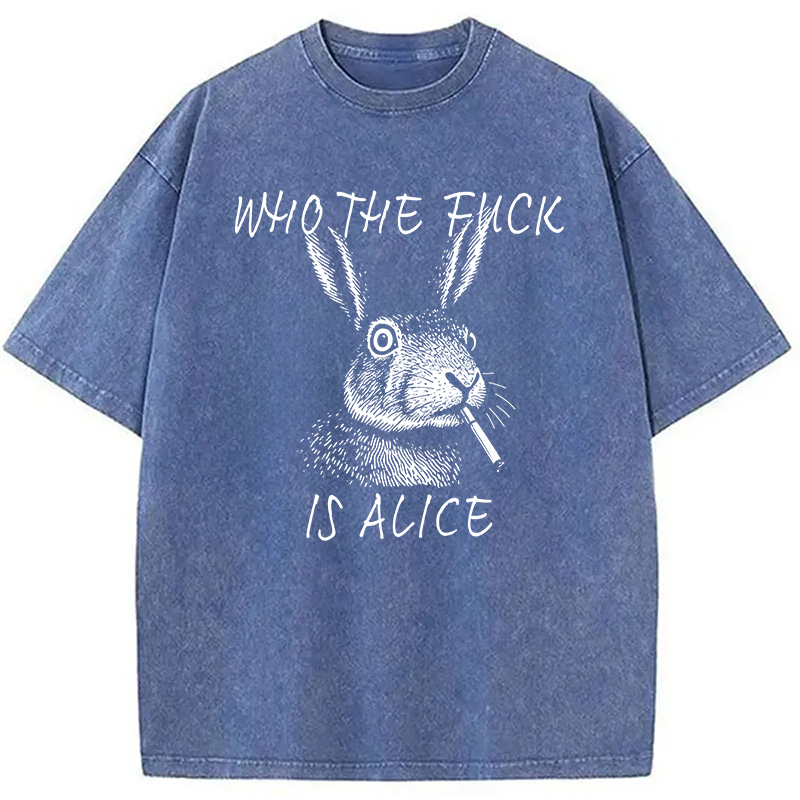 Modecanvas Who The Fck Is Alice Meme DTG Printing Washed T-Shirt