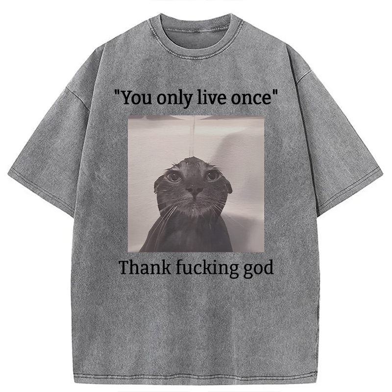 Modecanvas Funny Depressed Meme Cat DTG Printing Washed T-Shirt