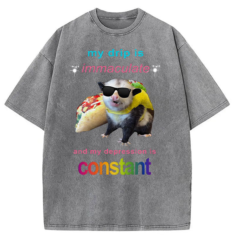 Modecanvas My Drip Is Immaculate DTG Printing Washed T-Shirt