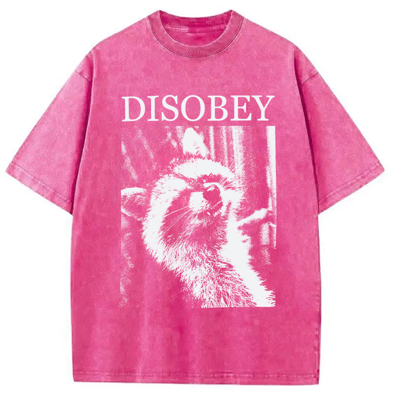 Modecanvas Disobey Raccoon DTG Printing Washed T-Shirt