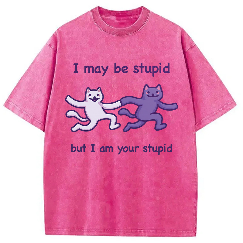 Modecanvas I Am Your Stupid DTG Printing Washed T-Shirt