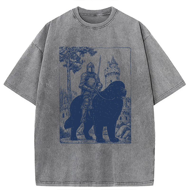 Modecanvas Knight Newfoundland Rider Vintage DTG Printing Washed T-Shirt