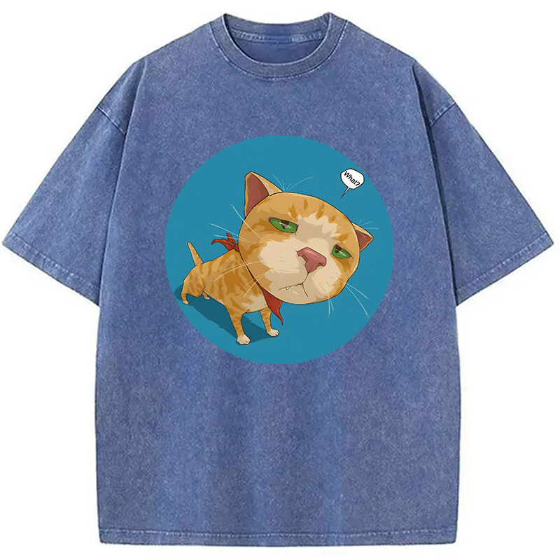 Modecanvas Confusing Cat DTG Printing Washed T-Shirt