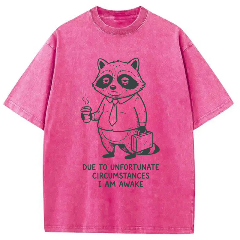 Modecanvas Grumpy Raccoon Morning DTG Printing Washed T-Shirt