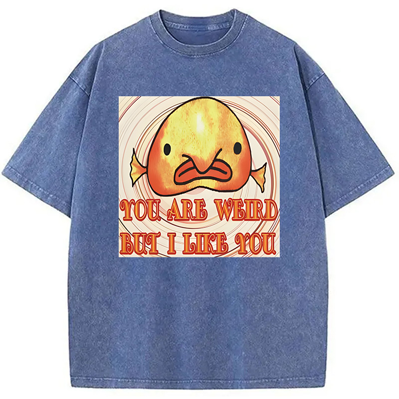 Modecanvas Odly Adorable Fish Meme DTG Printing Washed T-Shirt