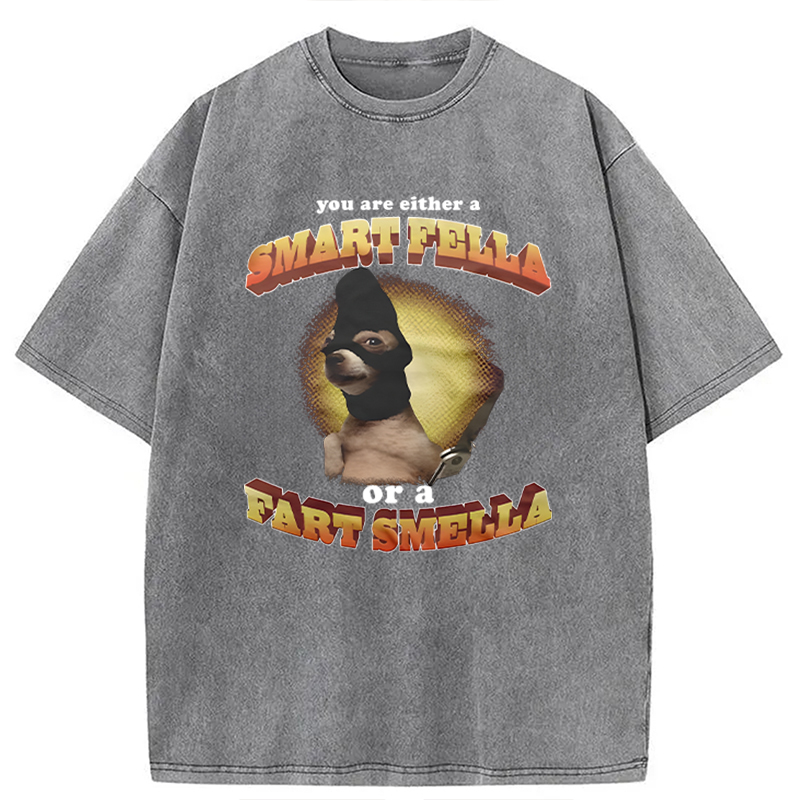 Modecanvas You Are Either A Smart Fella Or A Fart Smella Funny Meme DTG Printing Washed T-Shirt