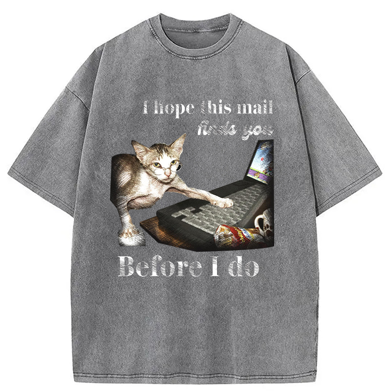 Modecanvas Funny Send Mail Cat Meme DTG Printing Washed T-Shirt