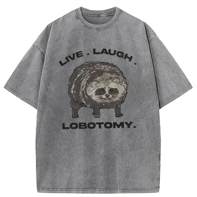 Modecanvas Live Laugh Lobotomy Funny Dolphin Meme DTG Printing Washed T-Shirt