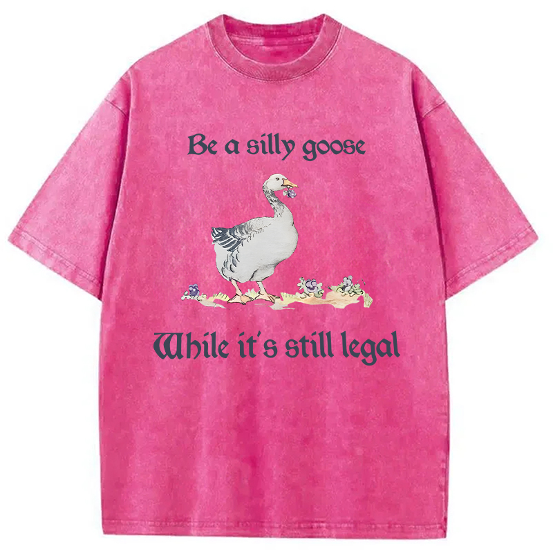 Modecanvas Be A Silly Goose DTG Printing Washed T-Shirt