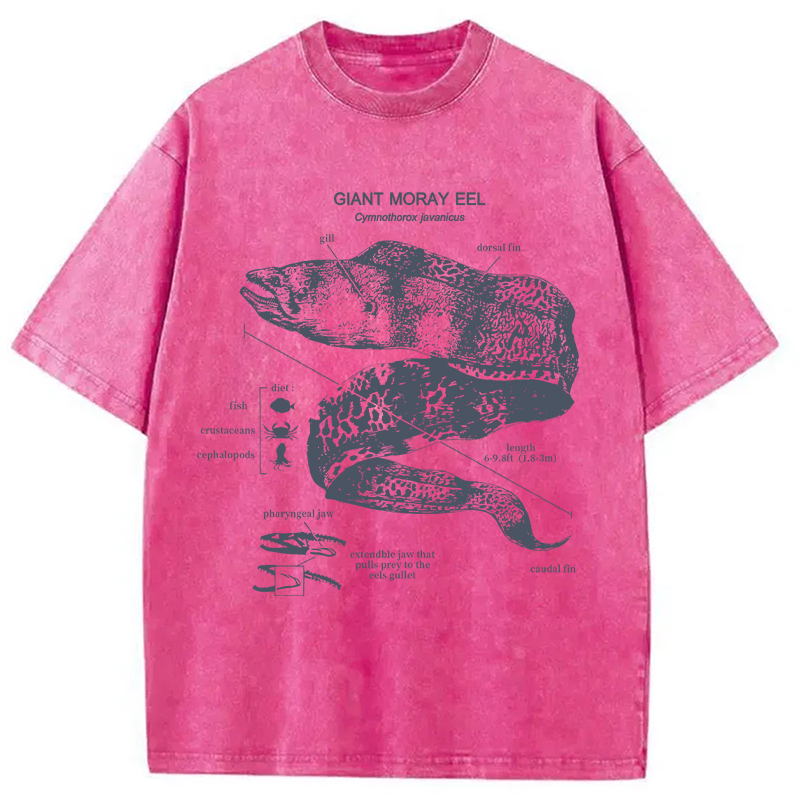 Modecanvas Moray Eel Anatomy Vintage DTG Printing Washed T-Shirt