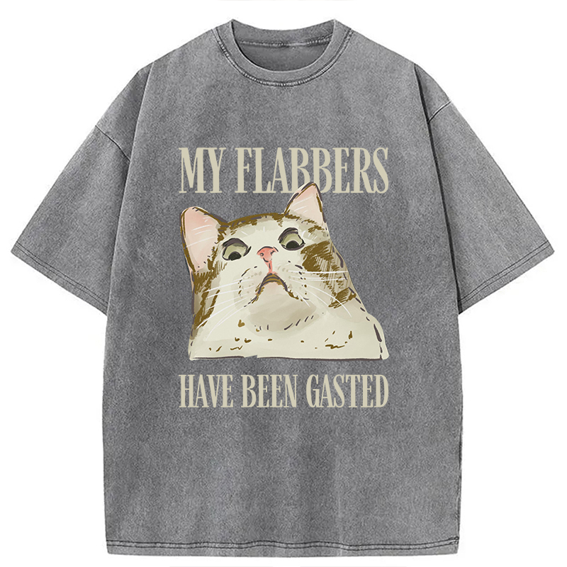 Modecanvas My Flabbers Have Been Gasted Cat Meme DTG Printing Washed T-Shirt