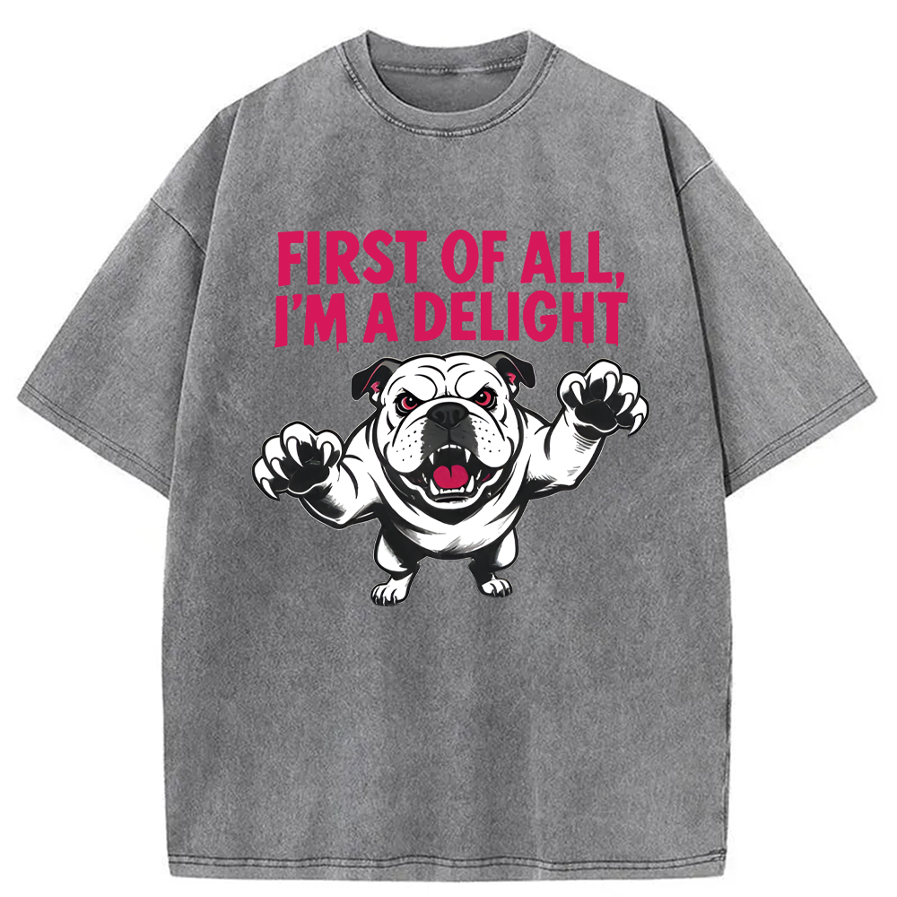 Modecanvas Fierce Bulldog Delight DTG Printing Washed T-Shirt