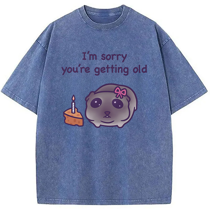 Modecanvas Sad Hamster Birthday Meme DTG Printing Washed T-Shirt