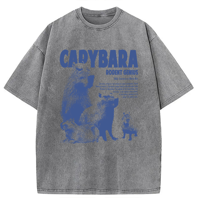 Modecanvas Capybara Vintage DTG Printing Washed T-Shirt