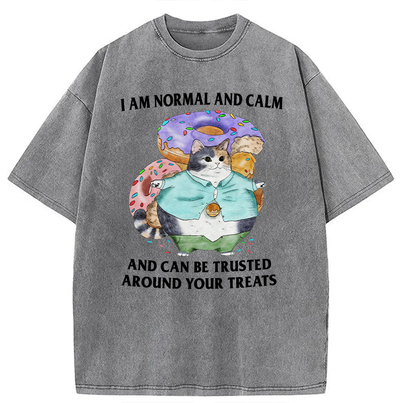 Modecanvas I Can Be Trusted Around Your Treats DTG Printing Washed T-Shirt