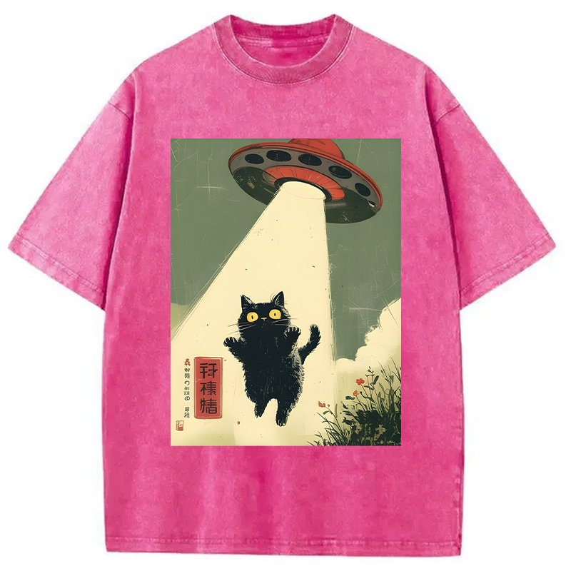 Modecanvas Vintage Japanese Alien Cat DTG Printing Washed T-Shirt