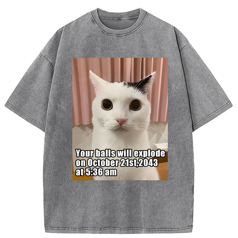 Modecanvas Your Balls Will Explode Funny Cat Meme DTG Printing Washed T-Shirt