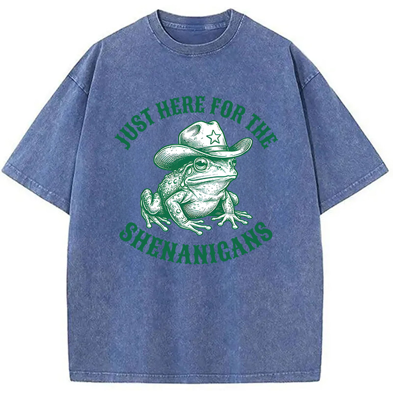Modecanvas Just Here for the Shenanigans Frog DTG Printing Washed T-Shirt