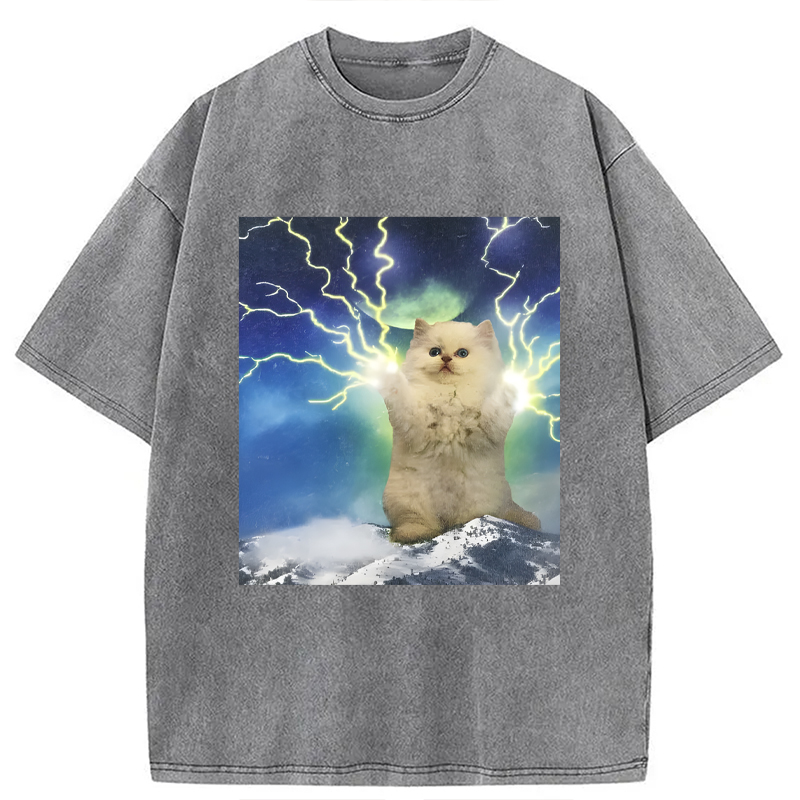 Modecanvas Lightning Cat DTG Printing Washed T-Shirt