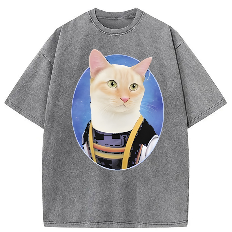 Modecanvas Doctor Mew DTG Printing Washed T-Shirt