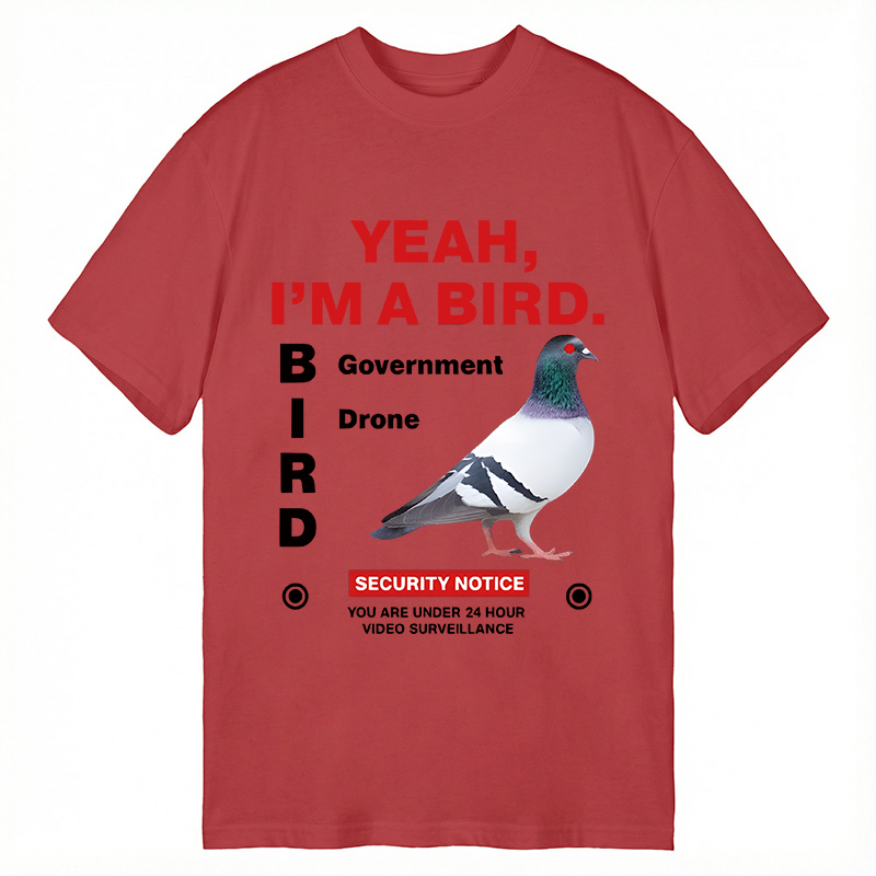 Modecanvas Government Funny Pigeon Puns DTG Printing Classic T-Shirt-modecanvas