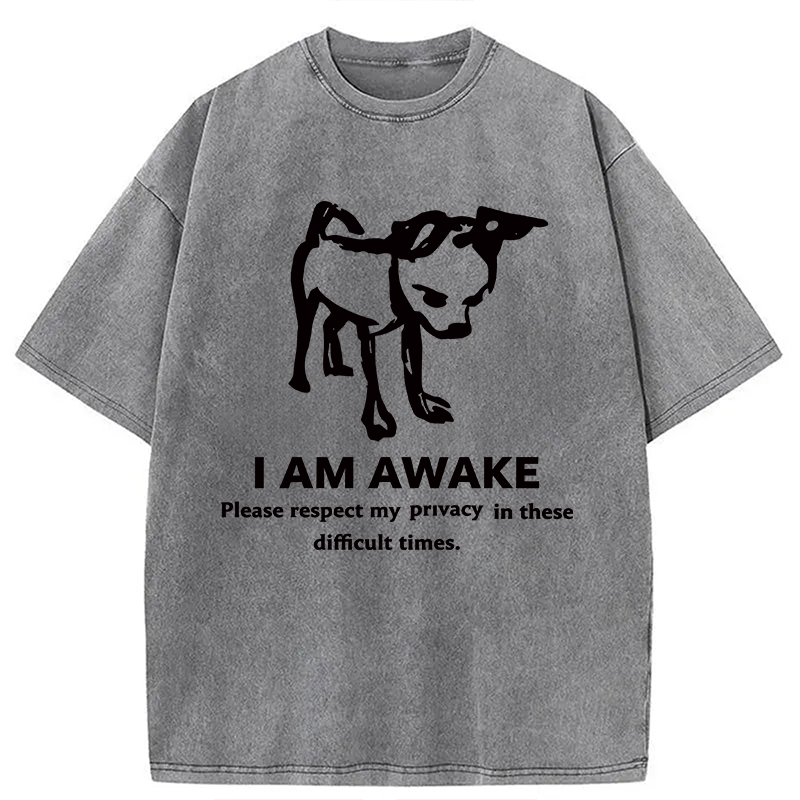 Modecanvas Silly Dog Privacy Meme DTG Printing Washed T-Shirt