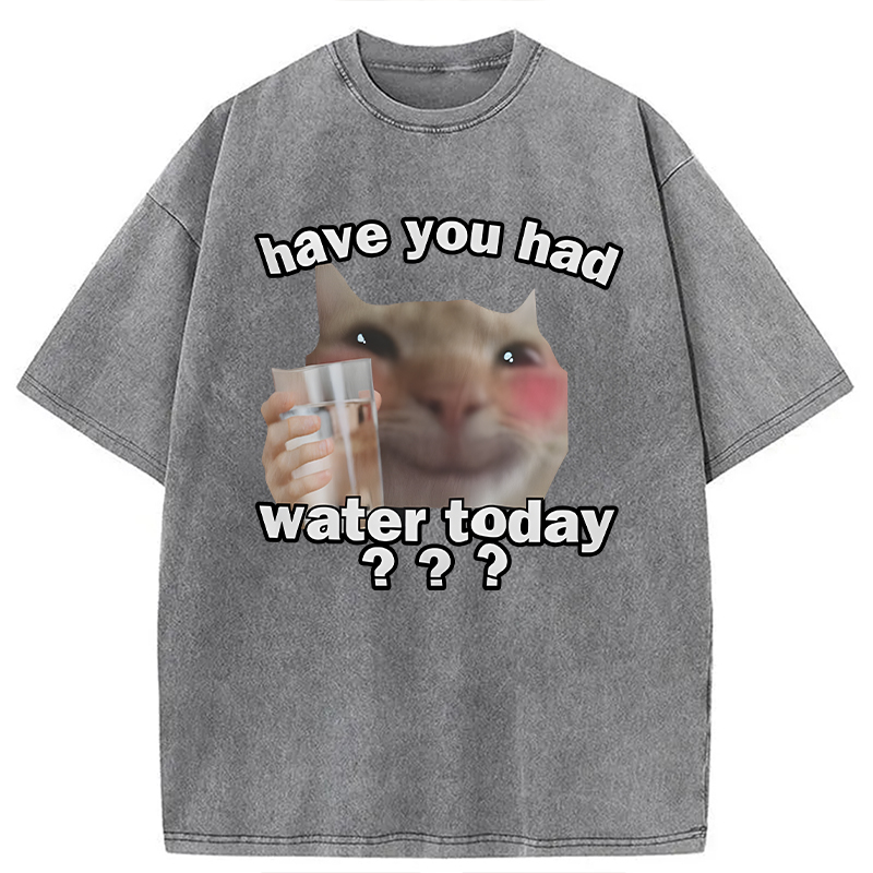 Modecanvas Remind To Drink Water DTG Printing Washed T-Shirt