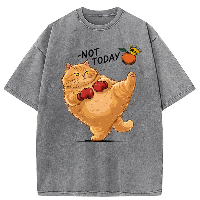 Modecanvas Boxing Cat DTG Printing Washed T-Shirt