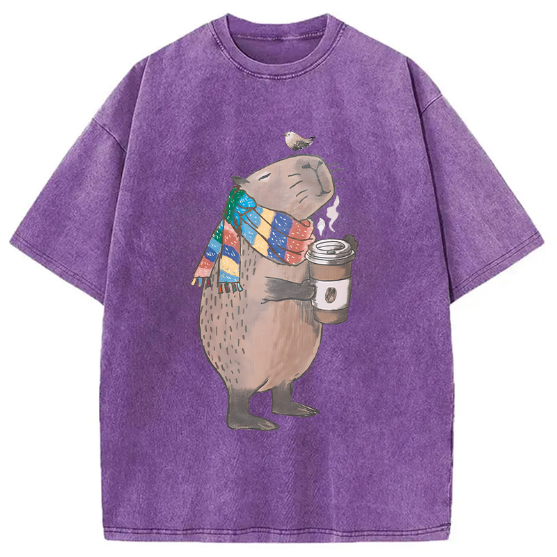 Modecanvas Coffeebara DTG Printing Washed T-Shirt