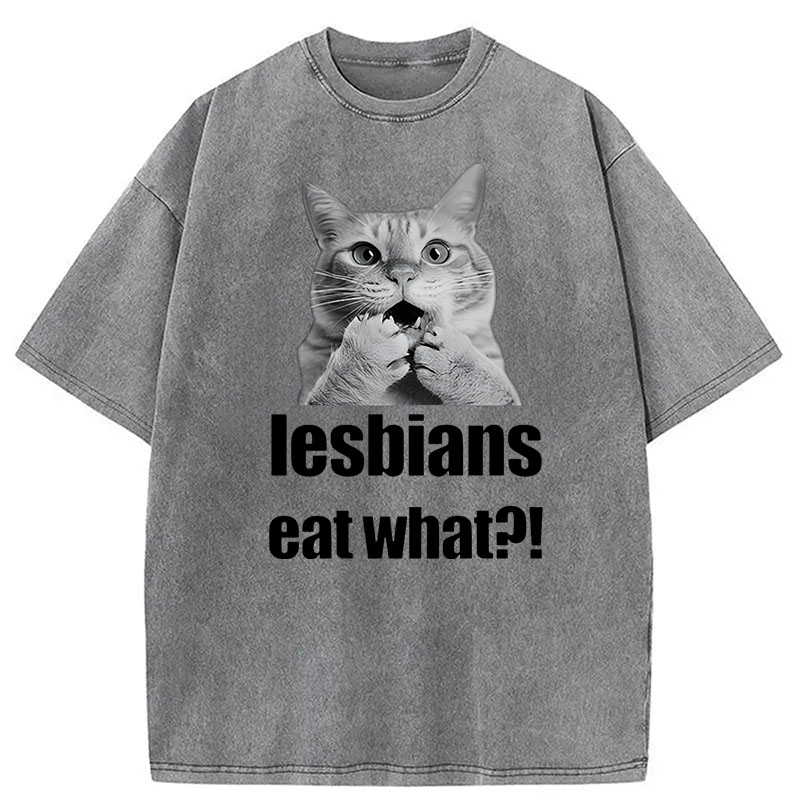Modecanvas Lesbians Eat What? Funny Gay Joke DTG Printing Washed T-Shirt