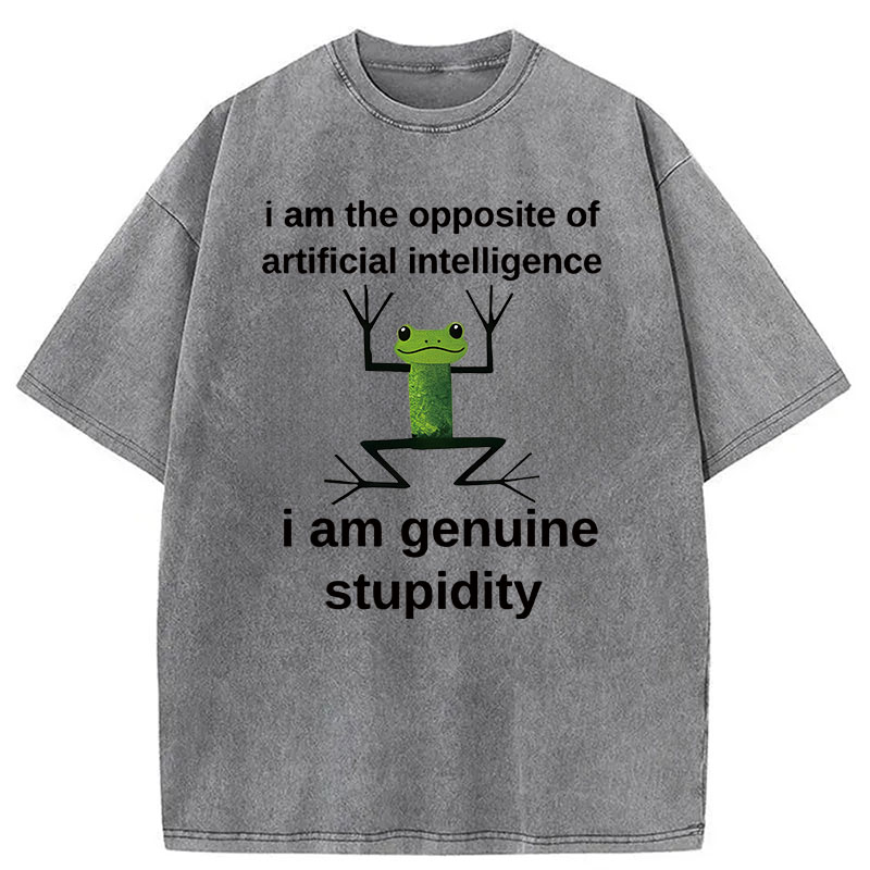 Modecanvas Genuine Stupidity Frog Meme DTG Printing Washed T-Shirt