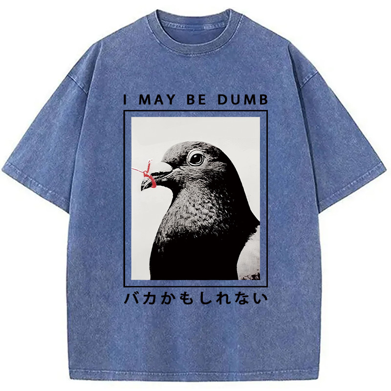 Modecanvas I May Be Dumb Funny Washed T-Shirt-modecanvas