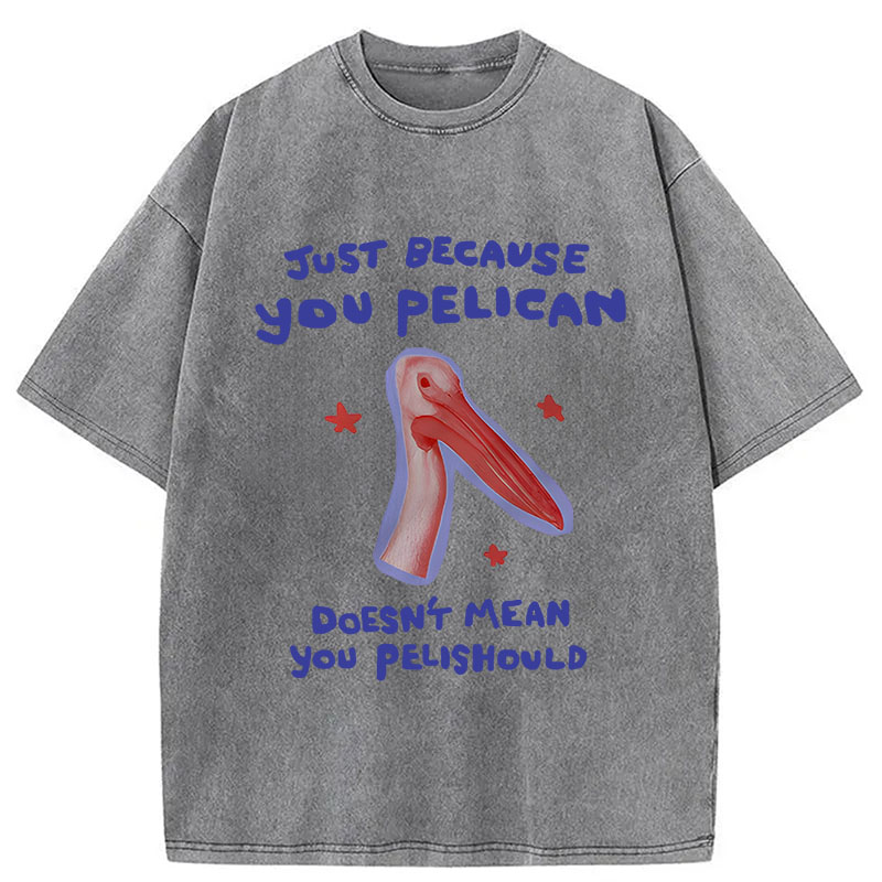 Modecanvas Just Because You Pelican DTG Printing Washed T-Shirt
