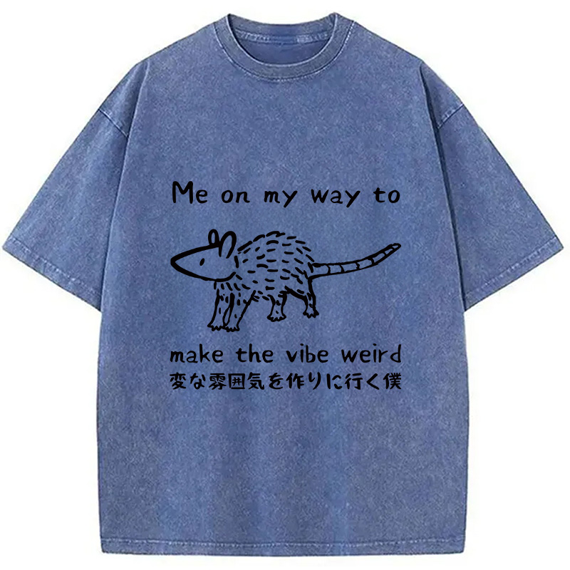 Modecanvas Making The Vibe Weird Washed T-Shirt