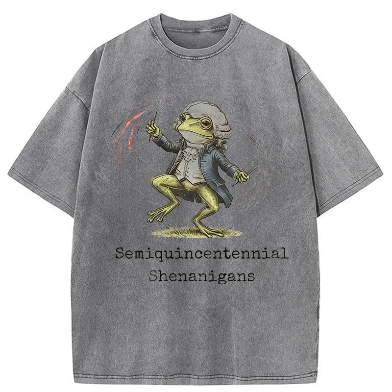 Modecanvas Funny Frog Semiquincentennial DTG Printing Washed T-Shirt