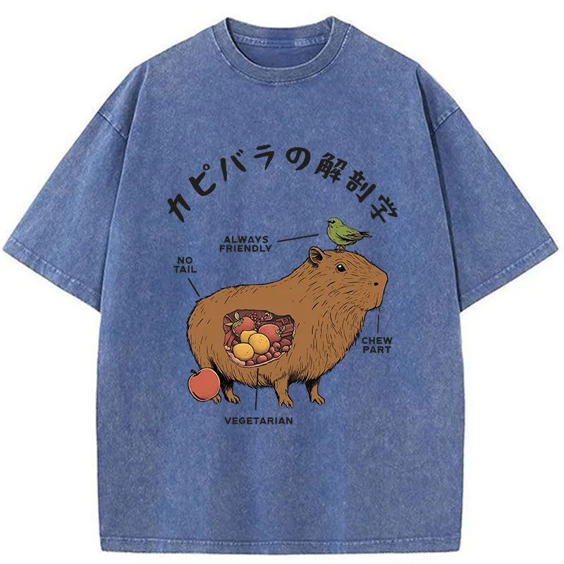 Modecanvas Capybara Anatomy Washed T-Shirt