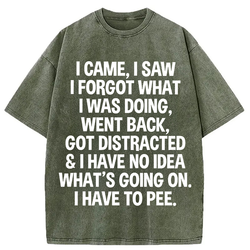 Modecanvas I Came I Saw I Forgot What I Was Doing DTG Printing Washed T-Shirt