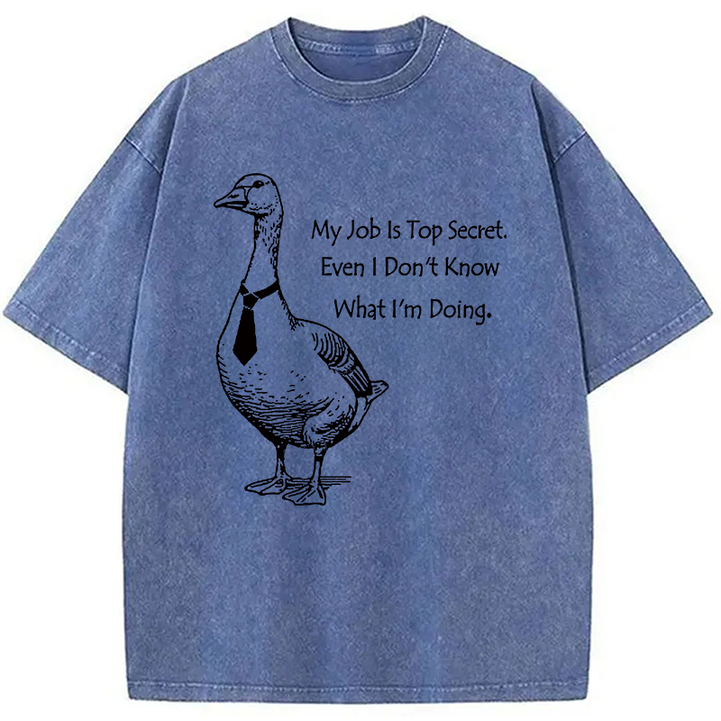 Modecanvas Serious Goose Funny Washed T-Shirt
