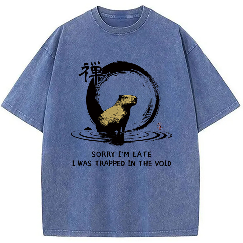 Modecanvas Zen Capybara Was Trapped In The Void Washed T-Shirt