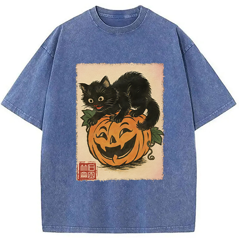 Modecanvas Black Cat And Pumpkin Washed T-Shirt