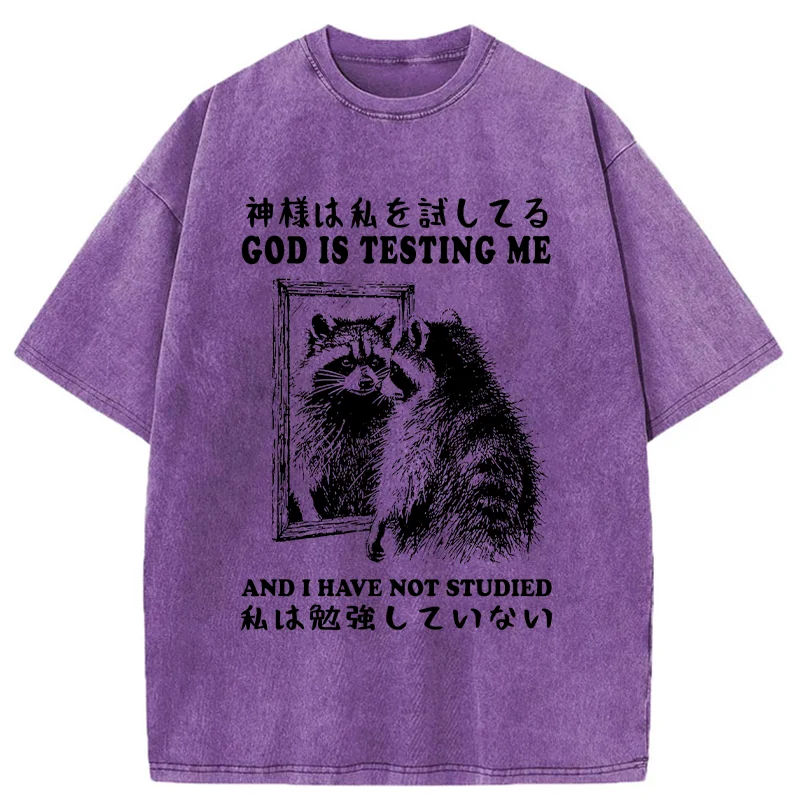 Modecanvas Raccoon Not Studied Washed T-Shirt