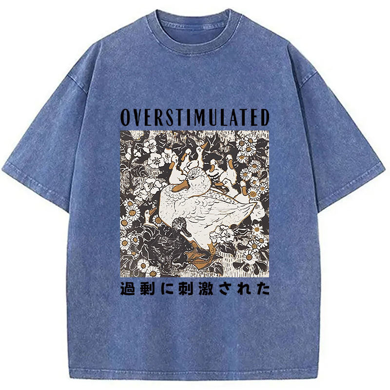 Modecanvas Overthinking Duck Washed T-Shirt