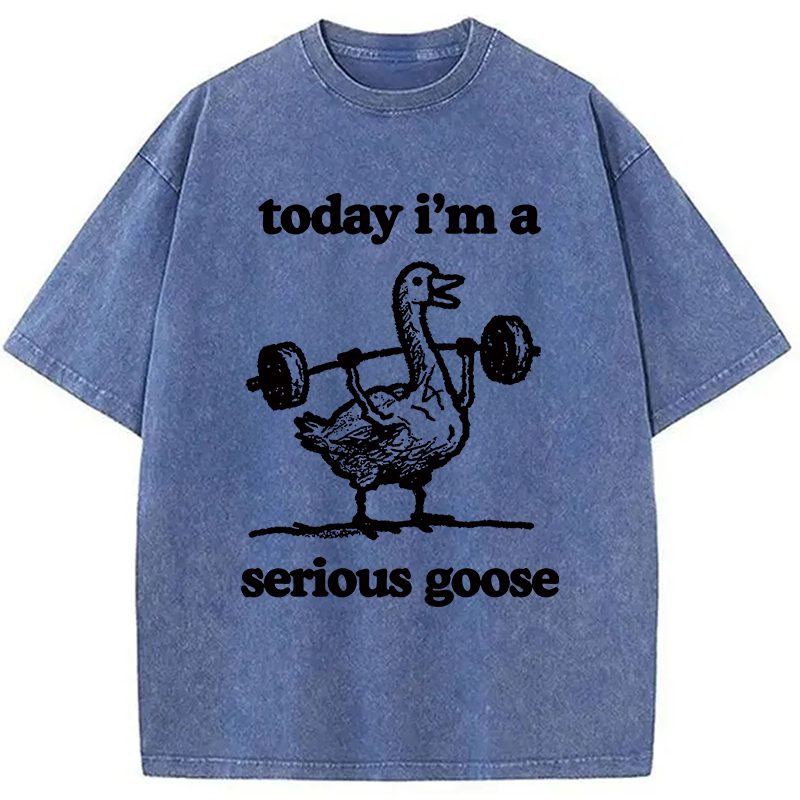 Modecanvas Fitness Goose Washed T-Shirt