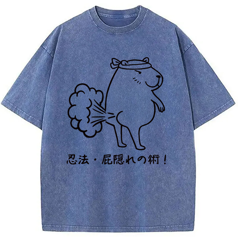 Modecanvas Funny Ninjutsu Fart Hiding Technique Washed T-Shirt